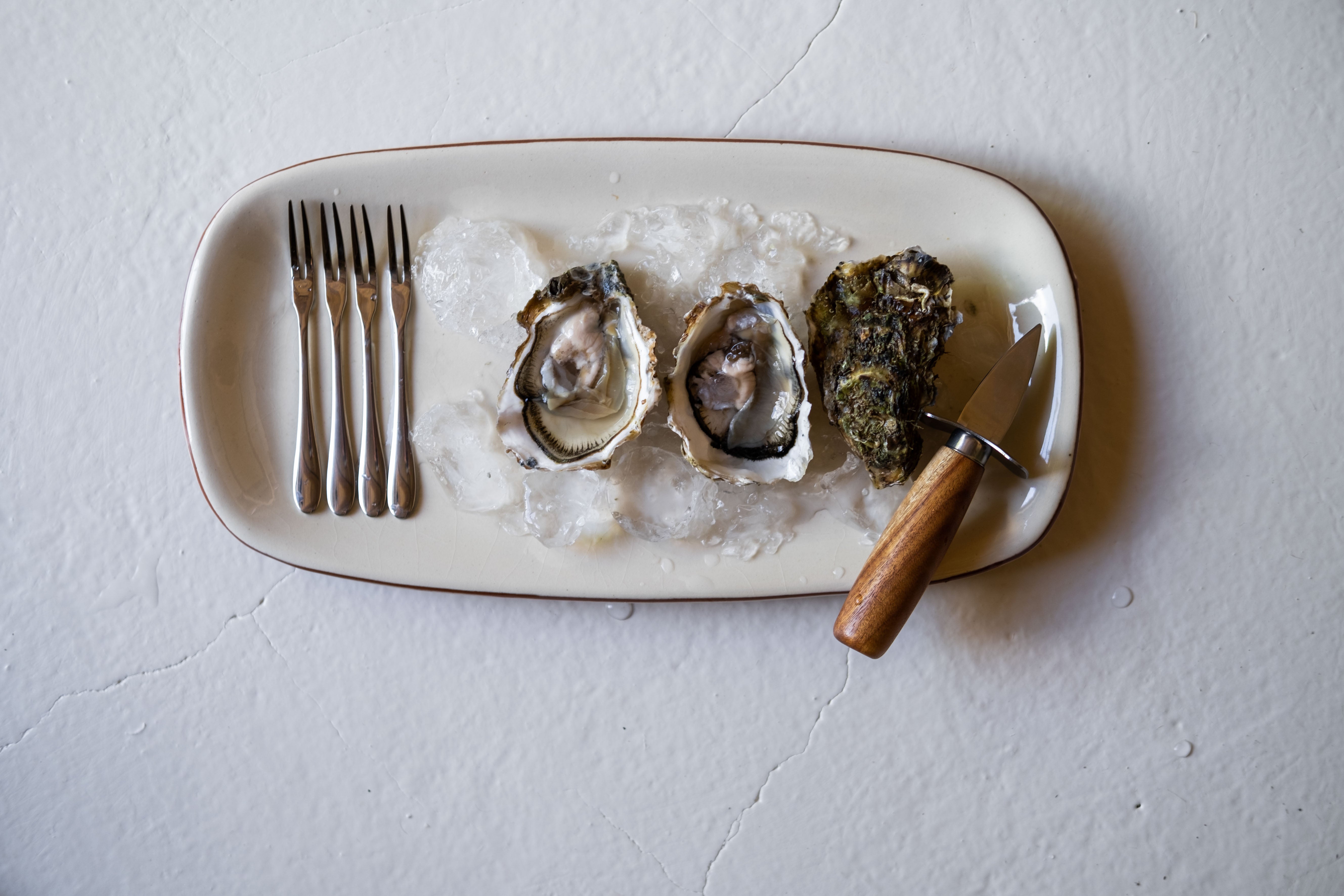 Andrea House Cocina set fruits de mer 10 pièces gourmet