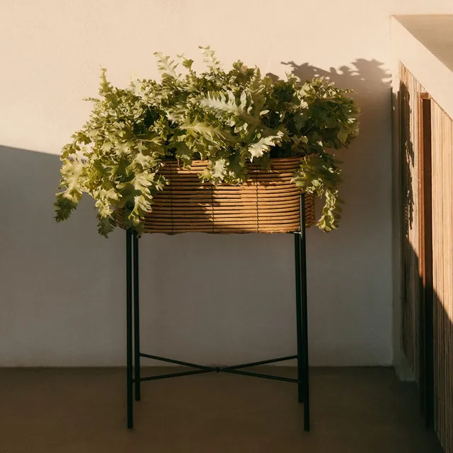Andrea House Decoración jardinière sur pied beige rotin