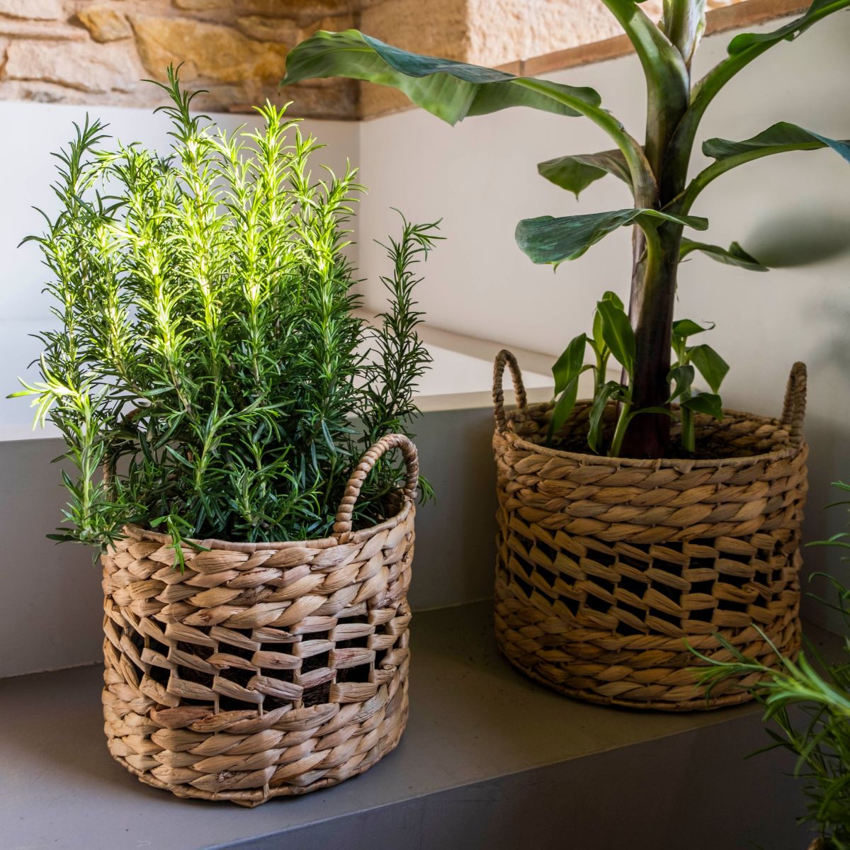 Andrea House set 3 paniers tressés fibre naturelle