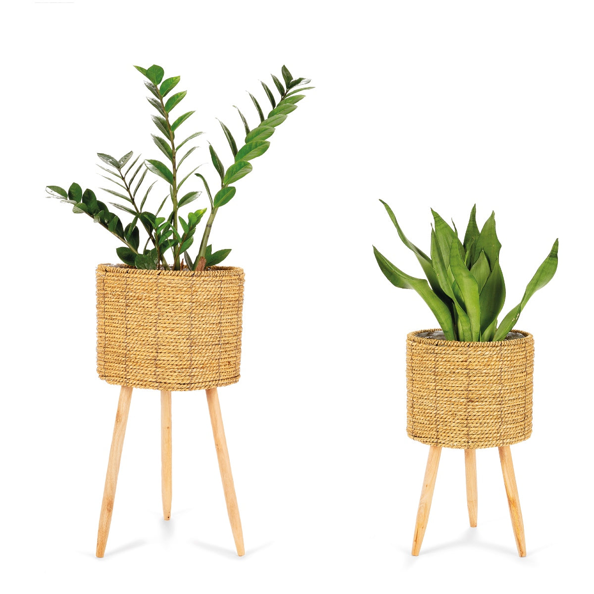 Andrea House lot 2 cache-pots sur pied jonc naturel